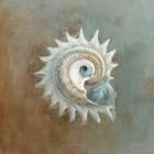 Treasures from the Sea III Art Print