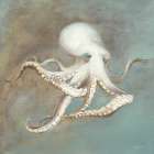 Treasures from the Sea V Art Print
