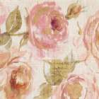Touch of Rose III Art Print