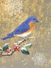 Winter Birds Bluebird Color Art Print