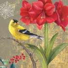 Winter Birds Goldfinch Collage Art Print