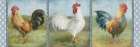 Noble Roosters V Art Print