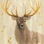 Forest King Art Print