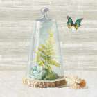 Succulent Garden IV Art Print