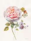 Textile Floral III White Art Print