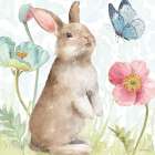 Spring Softies Bunnies II Art Print