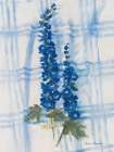 Delphinium on Linen Art Print
