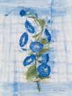 Morning Glory on Linen Art Print