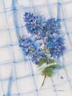 Campanula on Linen Art Print