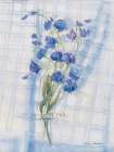 Sweet Pea on Linen Art Print