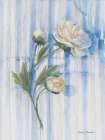Peony on Blue Stripe Art Print