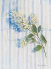 Lilac on Blue Stripe Art Print