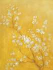 White Cherry Blossoms II Art Print