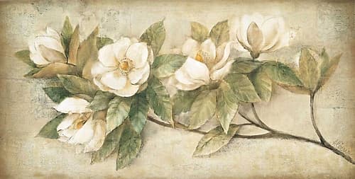 Sugar Magnolia Vintage Art Print