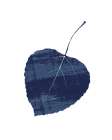 Big Leaf Indigo Art Print