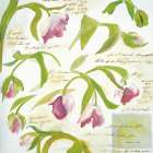 Tulips Art Print