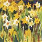 The Color of Spring Art Print