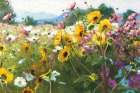 Cosmos and Sunflowers Art Print