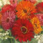 Summer Gerberas I Art Print