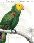 Parrot Botanique I Art Print