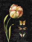 Mothers Treasures IV Dark Art Print