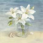 Lilies and Shells Art Print