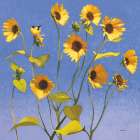 Sing Singing I Art Print