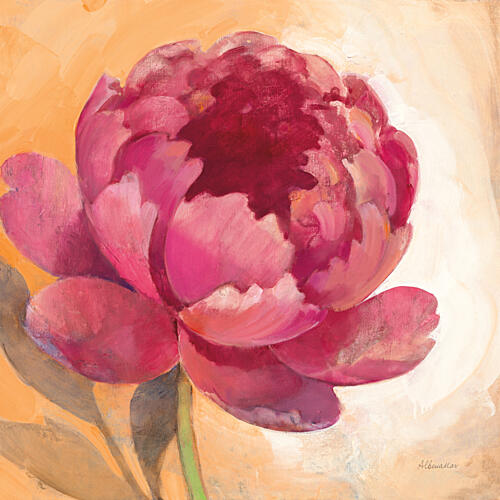 Summer Bloom II Art Print