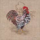 Toile Rooster I Art Print