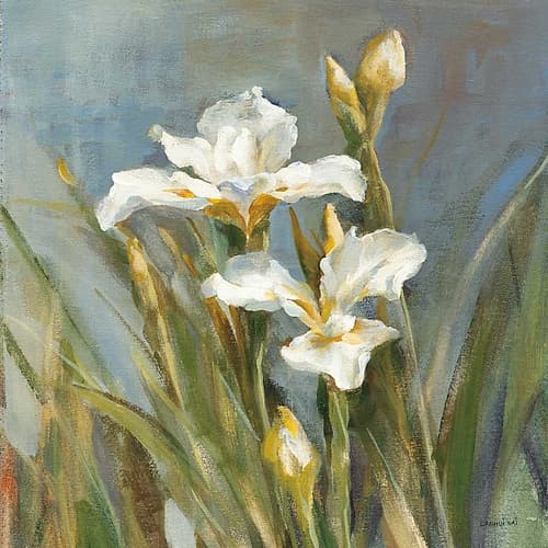 Spring Iris II Art Print