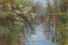 Spring Reflection Art Print