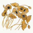 Gold Black Line Poppies II Art Print