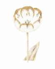 Gilded Botanical V Art Print