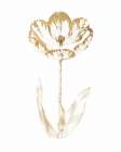 Gilded Botanical VI Art Print