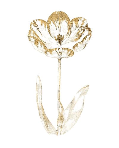 Gilded Botanical VI Minimalist Print