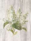 Scented Cottage Florals II Art Print
