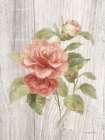 Scented Cottage Florals III Art Print