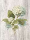 Scented Cottage Florals IV Art Print
