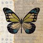 Belindas Butterfly III Art Print