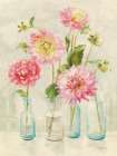 Pink Dahlias Art Print