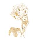 Gilded Botanical VII Sq Art Print
