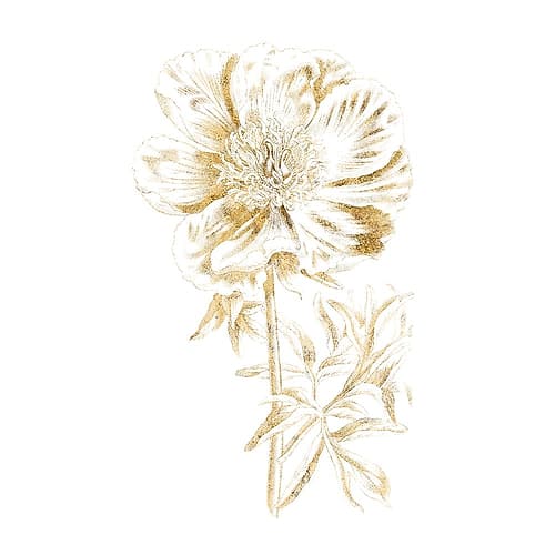 Gilded Botanical VIII Sq Art Print by Wild Apple Portfolio