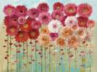 Daisies Spring Art Print