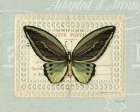 Mothers Treasure Butterfly Stamp Art Print