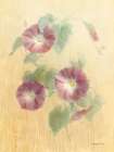 September Morning Glory Art Print