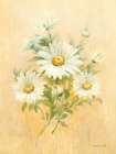 July Daisy Art Print