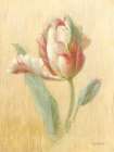 April Tulip Art Print