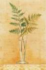 Ferns in Glass Vase I Art Print