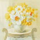 Mixed Narcissus on White Art Print