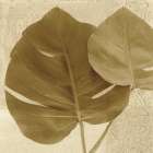 Ornate Monstera Leaf II Art Print
